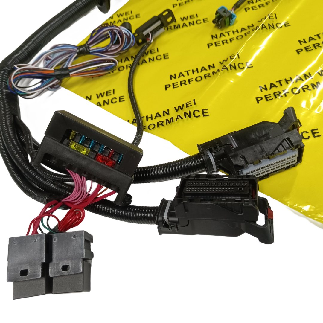 2006-2015 Gen4 E38 LS3 LS2 6.2L Standalone Wiring Harness TR6060 T56 58X Drive by Wire EV6