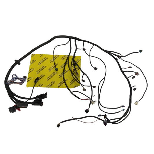 2006-2015 Gen4 E38 LS3 LS2 6.2L Standalone Wiring Harness TR6060 T56 58X Drive by Wire EV6