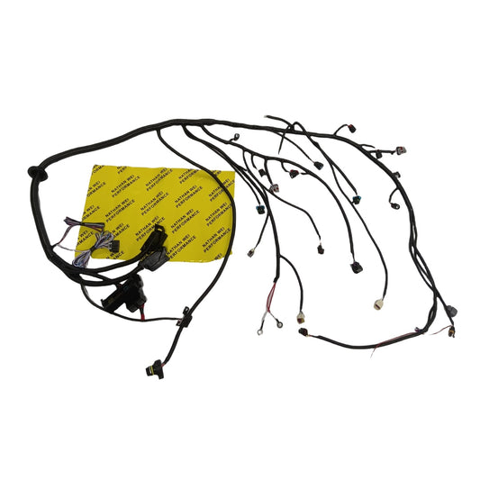 2006-2015 LS3 LS2 6.2L Standalone Harness 6L80E/6L90E 58X E38 Drive By Wire Truck Vett Pedl EV6