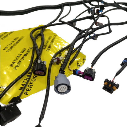 2003-2007 LS Standalone Wiring Harness for 4.8 5.3 6.0 with 4L60E DBW driven by wire