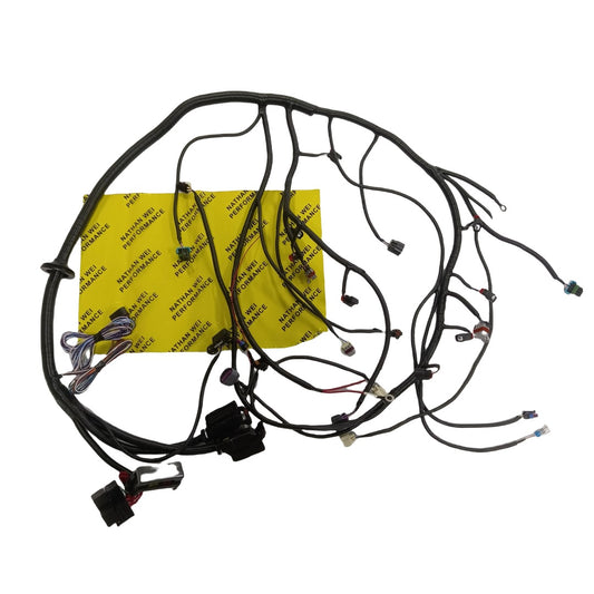 2006-2015 Gen4 E38 LS3 LS2 6.2L Standalone Wiring Harness TR6060 T56 58X Drive by Wire EV6